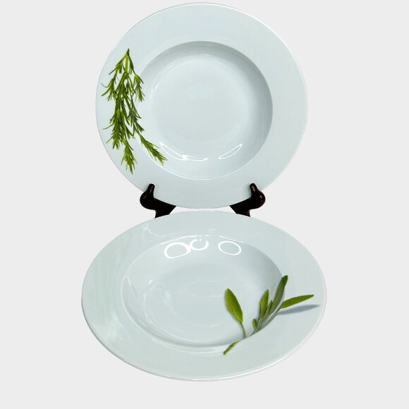 Set of 2 Crate & Barrel Herb Motif Dinner Plates - Picture 1 of 6